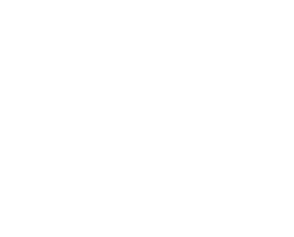 Norlicht Logo mit Beschriftung