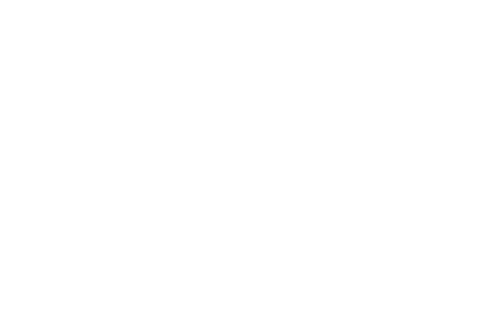 Logo Nordlicht – Weiße Version